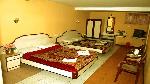 Royal Hotels